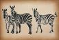 Preview: Dekoschild - Zebras