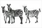 Preview: Dekoschild - Zebras