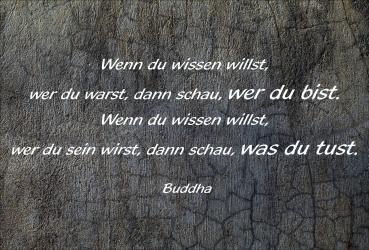 Dekoschild - Wenn du wissen willst... (Buddha)