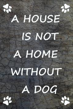 Dekoschild - A HOUSE IS NOT A HOME WITHOUT A DOG