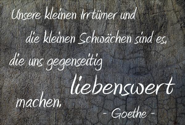 Dekoschild - Unsere kleinen Irrtümer ...liebenswert (Goethe)