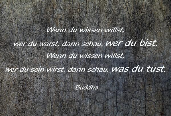 Dekoschild - Wenn du wissen willst... (Buddha)