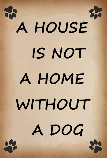 Dekoschild - A HOUSE IS NOT A HOME WITHOUT A DOG